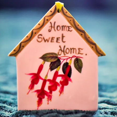 Skellig Fuchsia Ballinskelligs By Trident Homes *