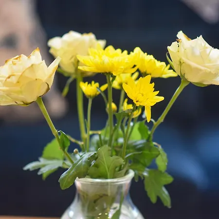 Skellig Fuchsia Ballinskelligs By Trident Homes Дом отдыха