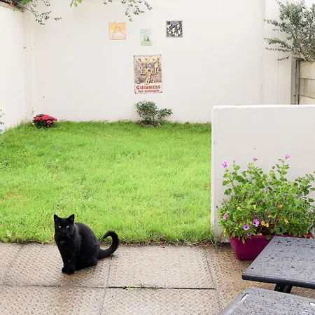 Skellig Fuchsia Ballinskelligs By Trident Homes *