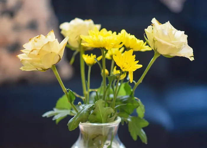 Skellig Fuchsia Ballinskelligs By Trident Homes Feriehus